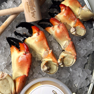 Florida Stone Crab