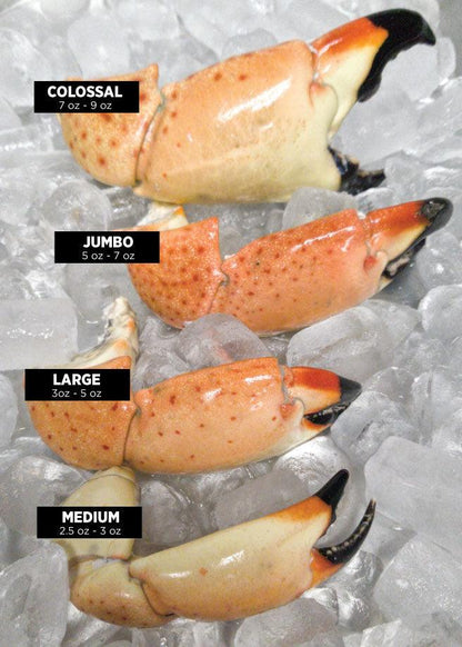 Fresh Florida Stone Crab Claws
