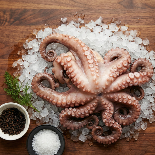 Whole Fresh Spanish Octopus (2-4 lbs)